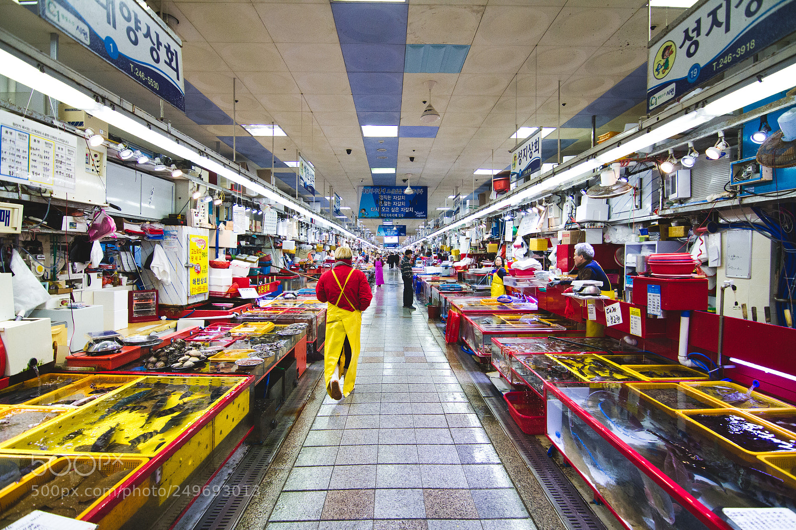 Canon EOS 7D sample photo. Fish market photography