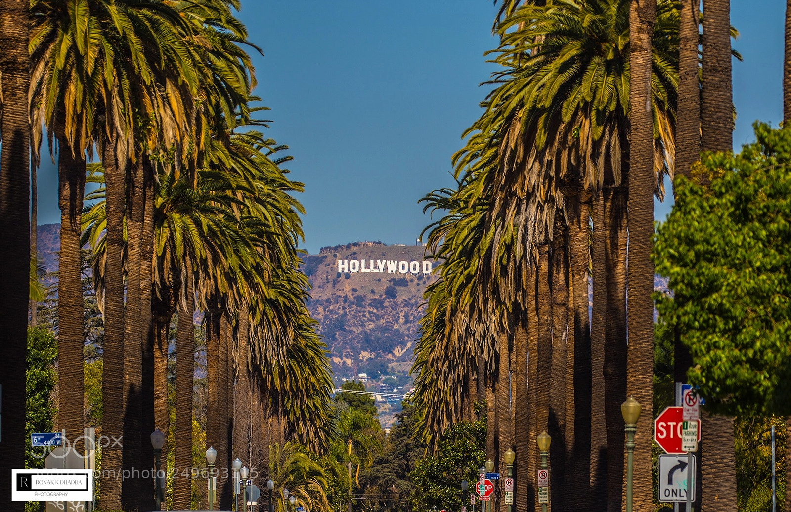 Canon EOS 7D Mark II sample photo. Hollywood ?? photography