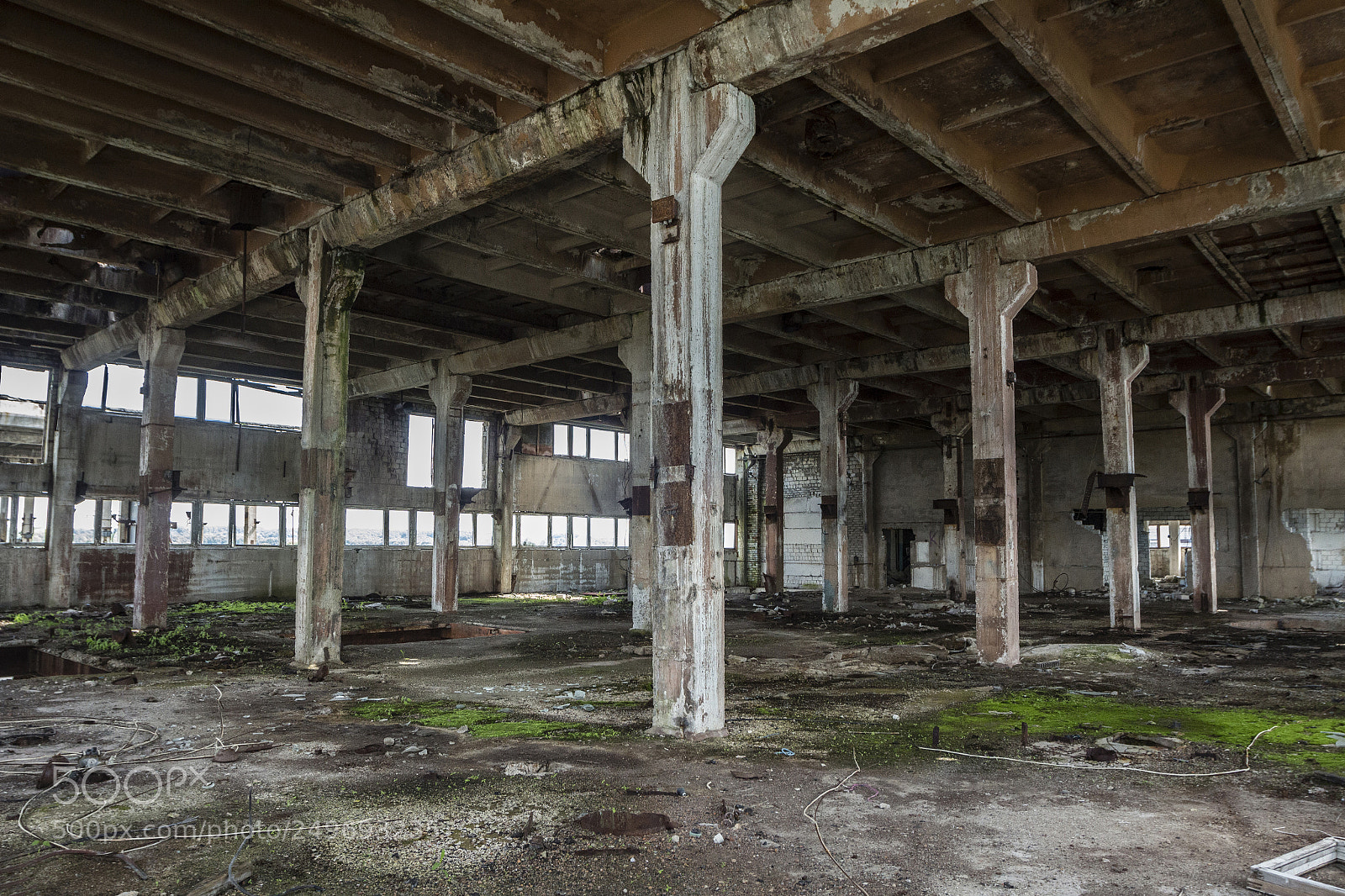 Canon EOS 650D (EOS Rebel T4i / EOS Kiss X6i) sample photo. The abandoned plant photography