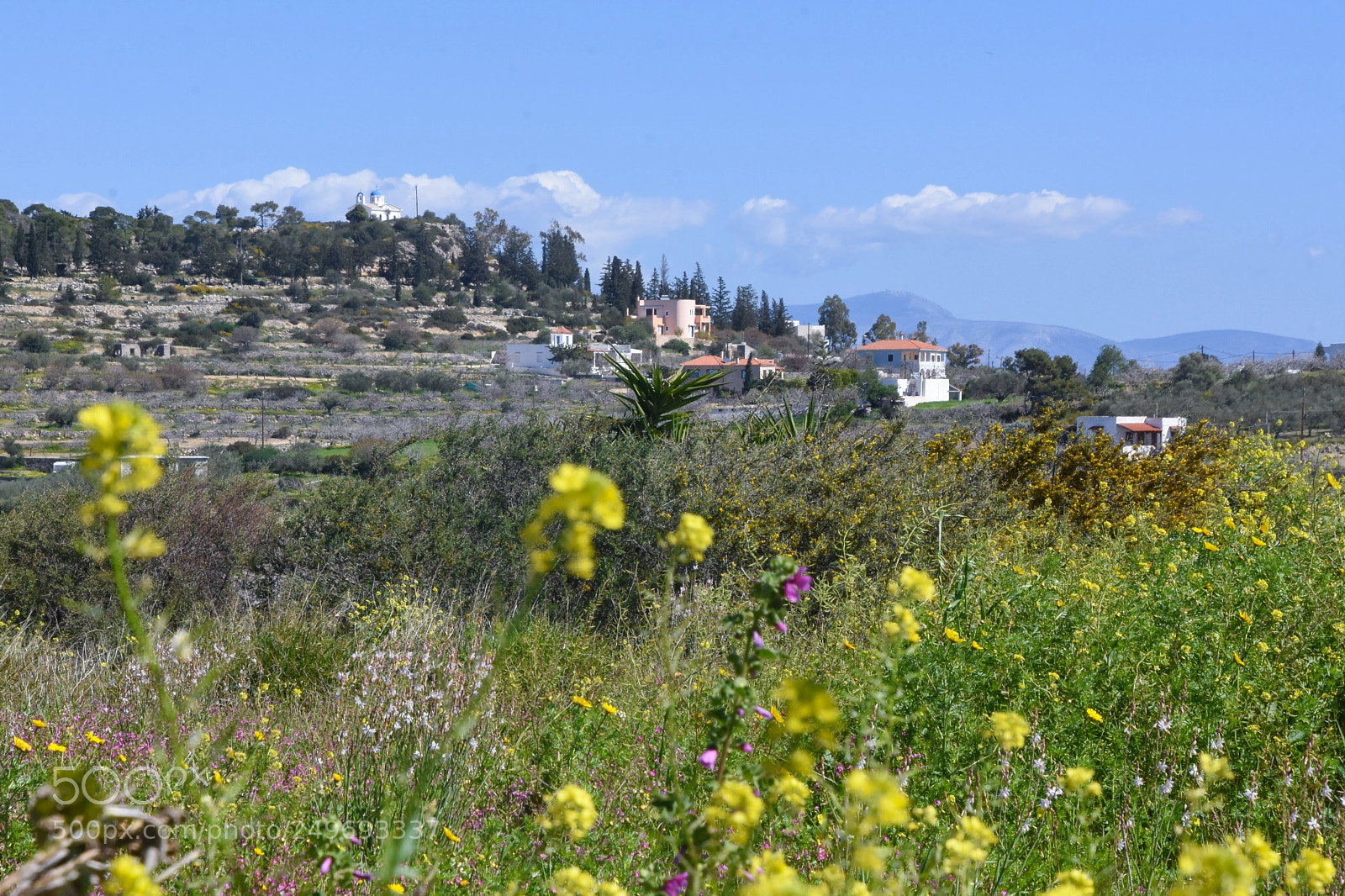 Nikon D7200 sample photo. Spring aegina island landscape photography