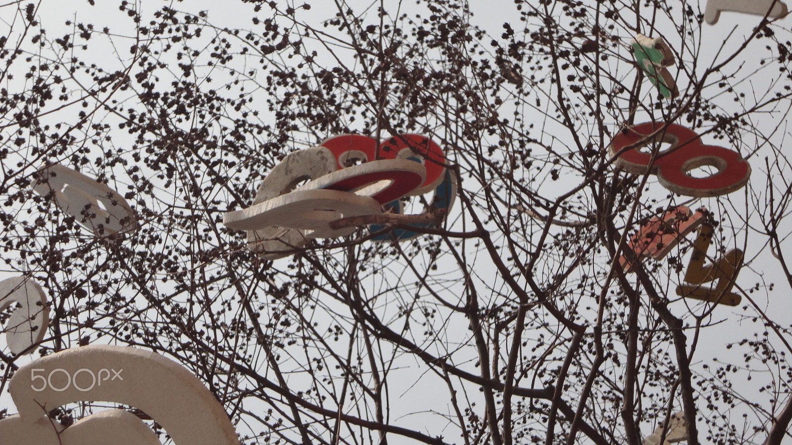 Sony Cyber-shot DSC-W570 sample photo. Remembering mother tongue photography
