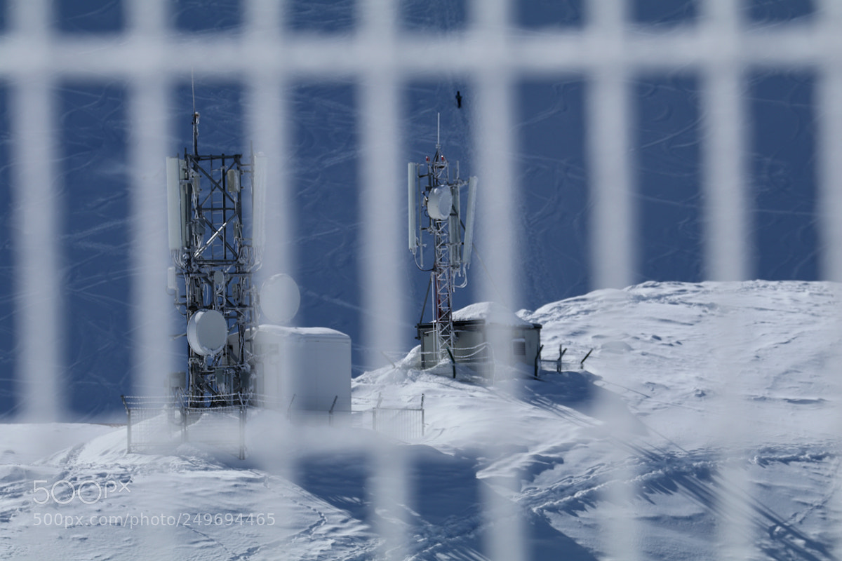 Canon EOS 80D sample photo. Winter fencing photography