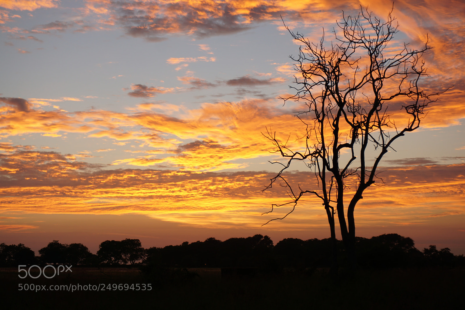 Sony a6000 sample photo. Sunrise silhouette photography