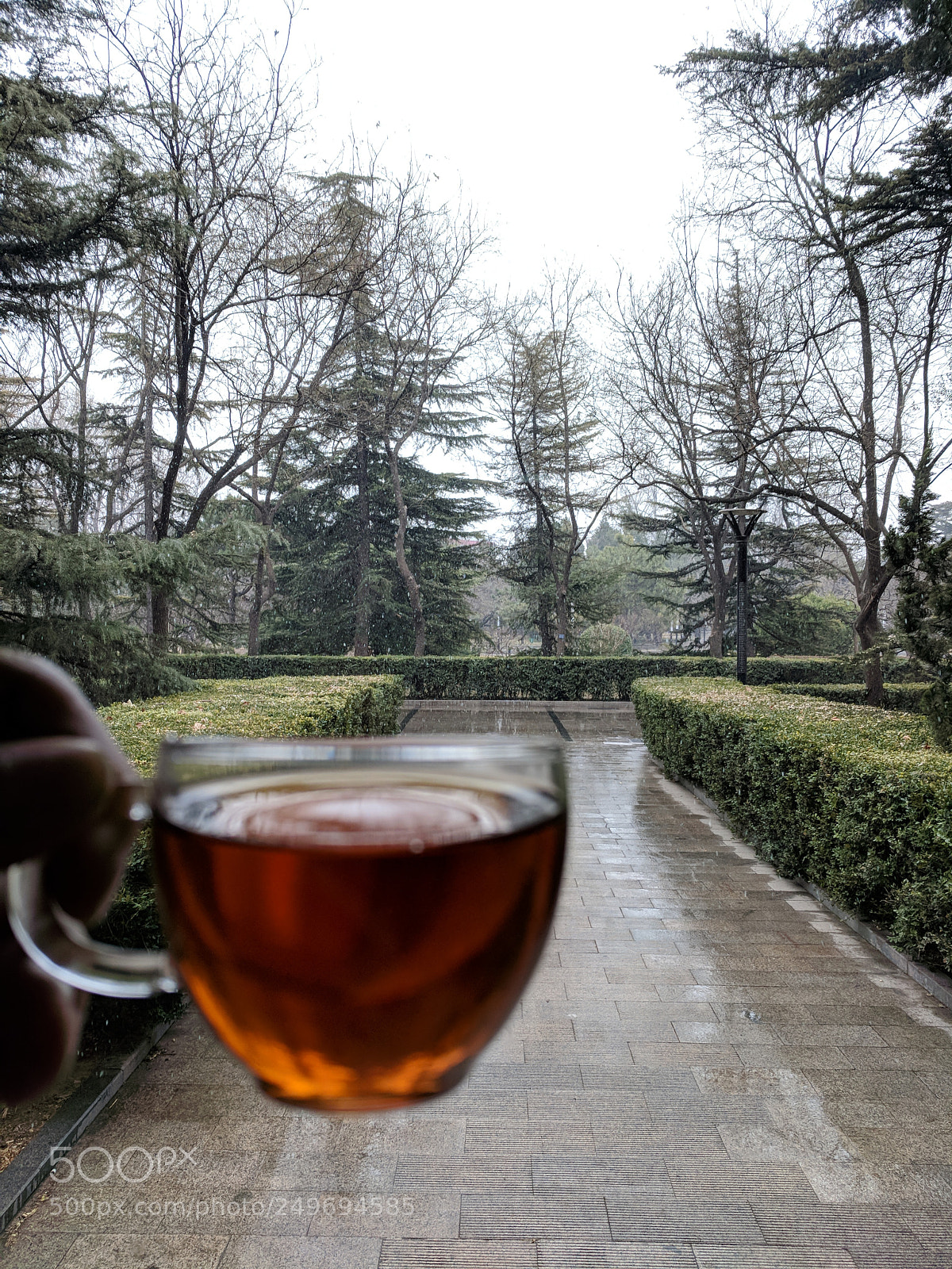 Google Pixel XL sample photo. Tea drinking in the photography