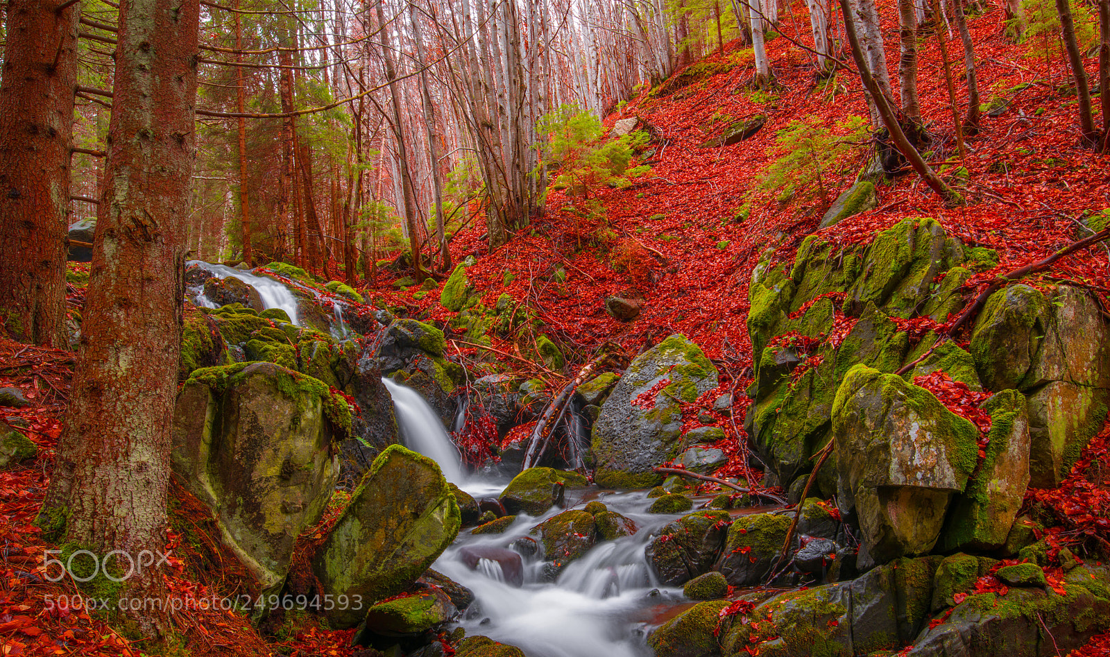 Nikon D810 sample photo. Autumn waterfall photography