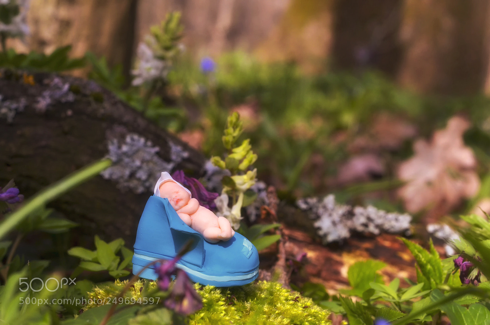 Nikon D7000 sample photo. Spring fairytale photography