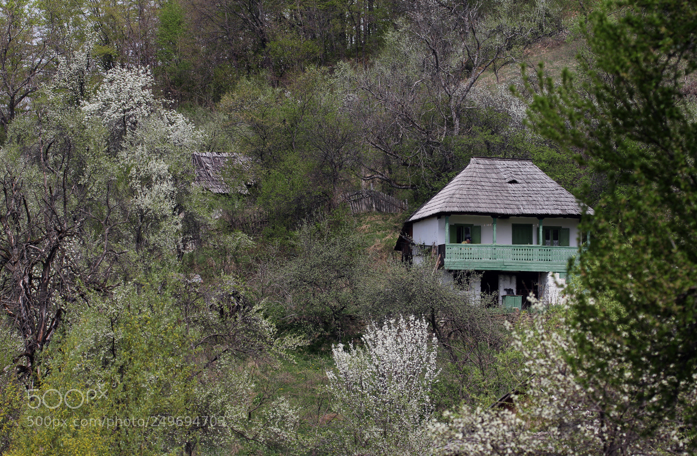 Canon EOS 60D sample photo. Springtime photography