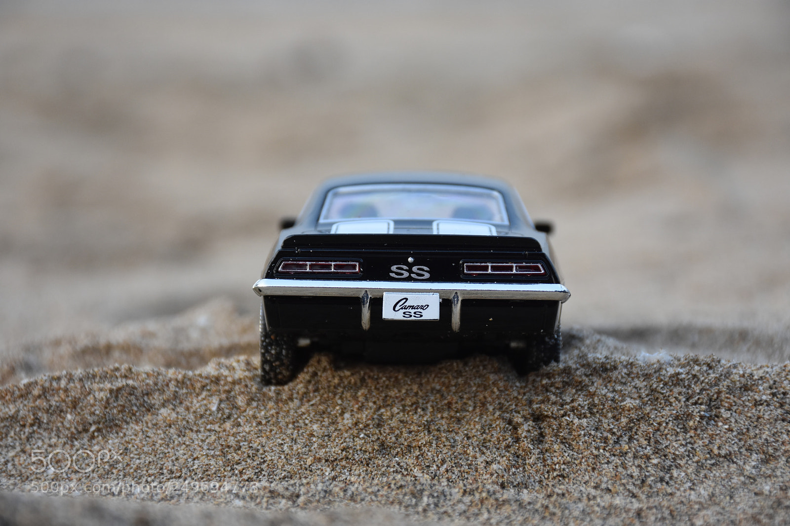 Nikon D7200 sample photo. Camaro photography