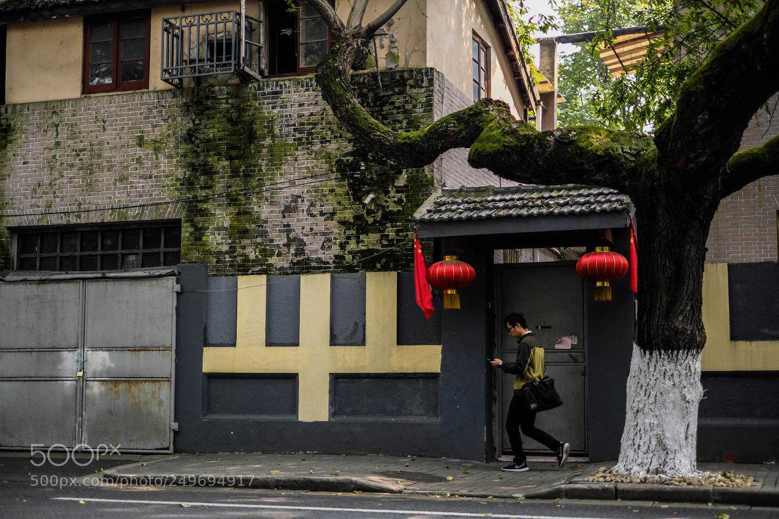 Fujifilm X-Pro2 sample photo. Dark green photography