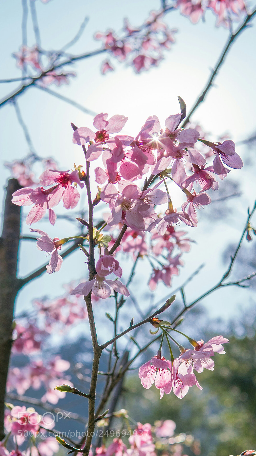 Sony a6300 sample photo. Untitled photography