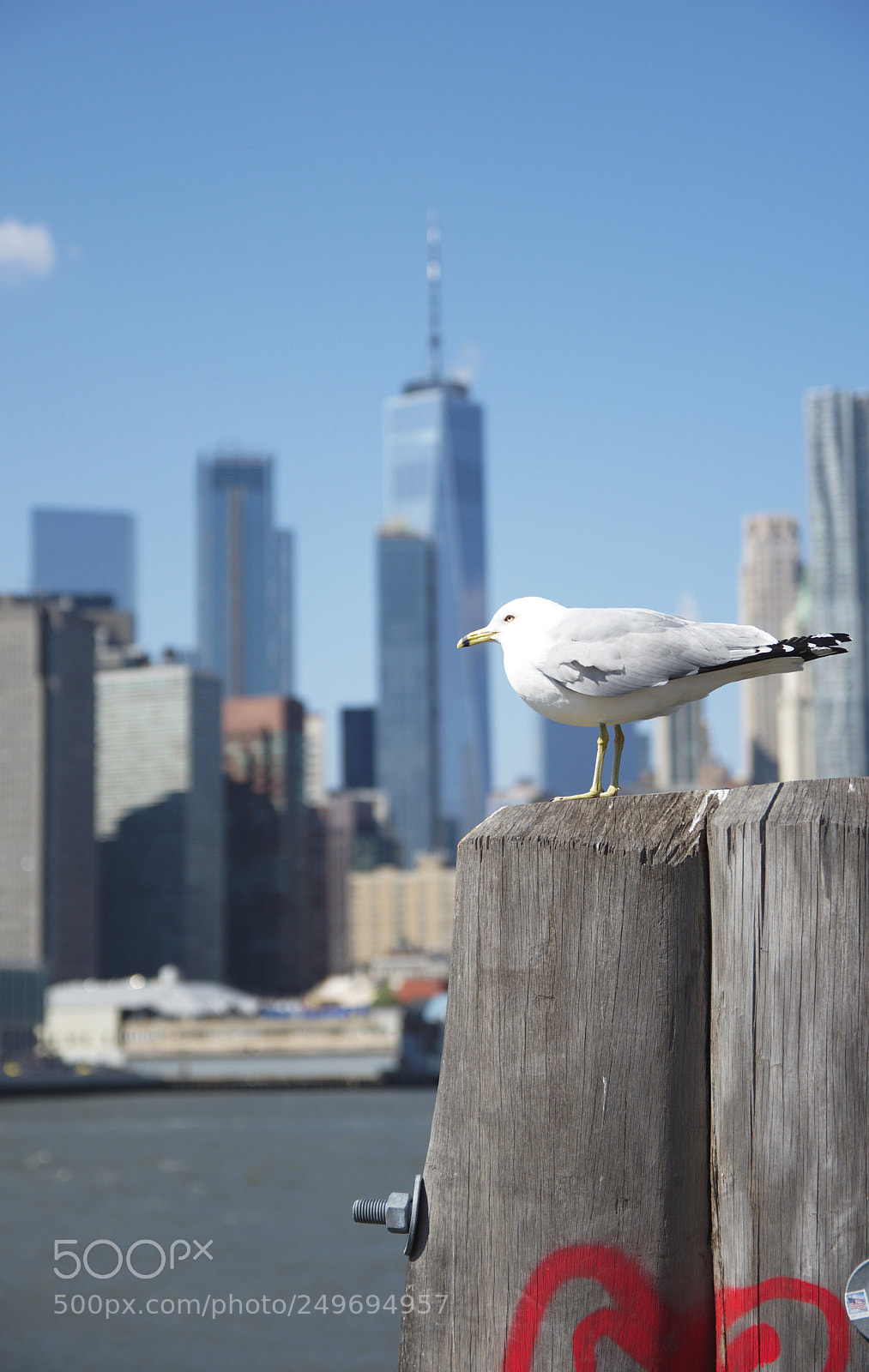 Nikon D7200 sample photo. A bird in deep photography