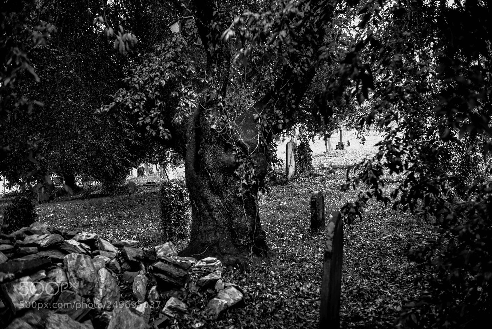 Leica M (Typ 240) sample photo. Ancient of days photography