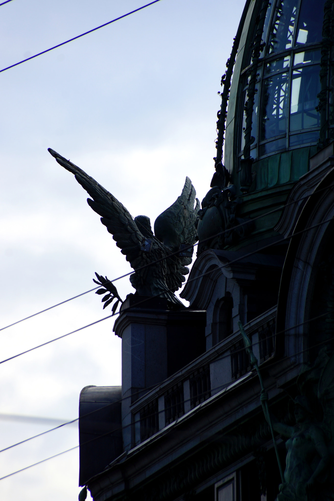 Sony DT 18-250mm F3.5-6.3 sample photo. Dsc photography