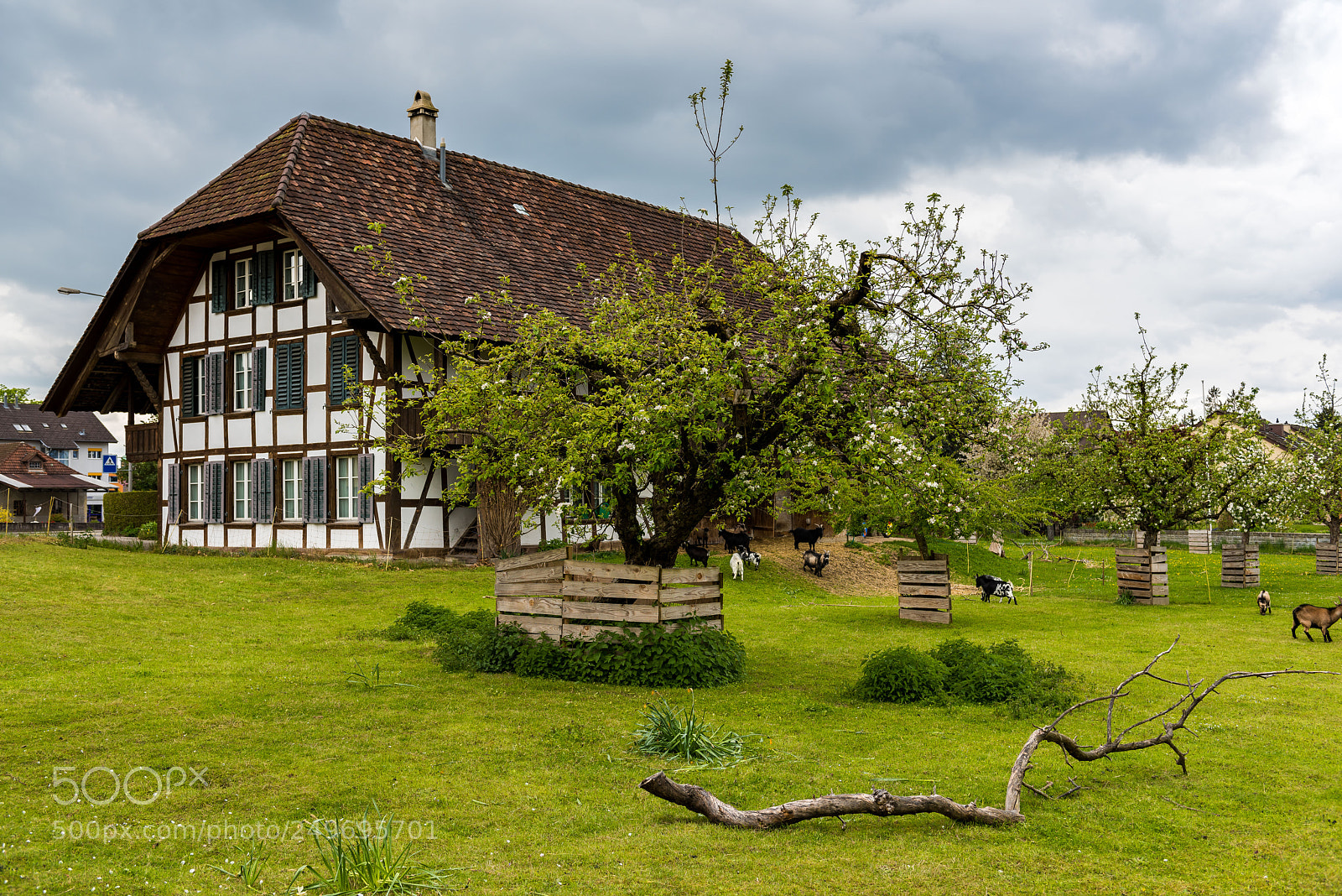 Nikon D810 sample photo. Idyllic - as in photography