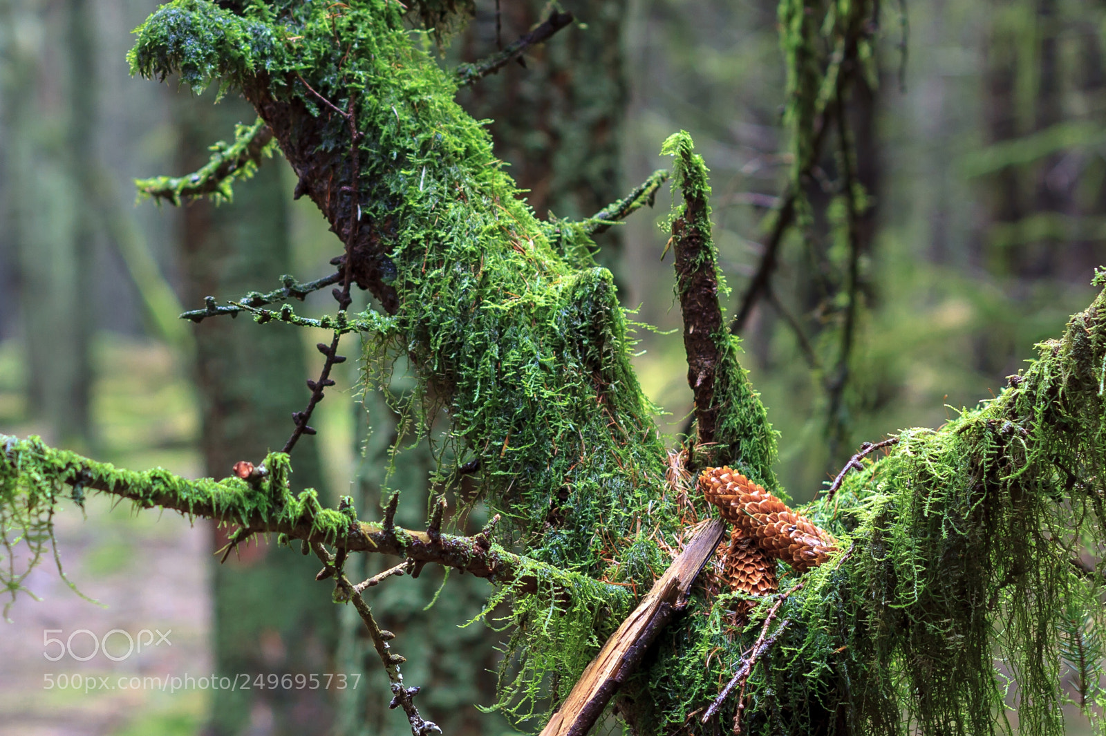 Canon EOS 7D sample photo. Resting photography