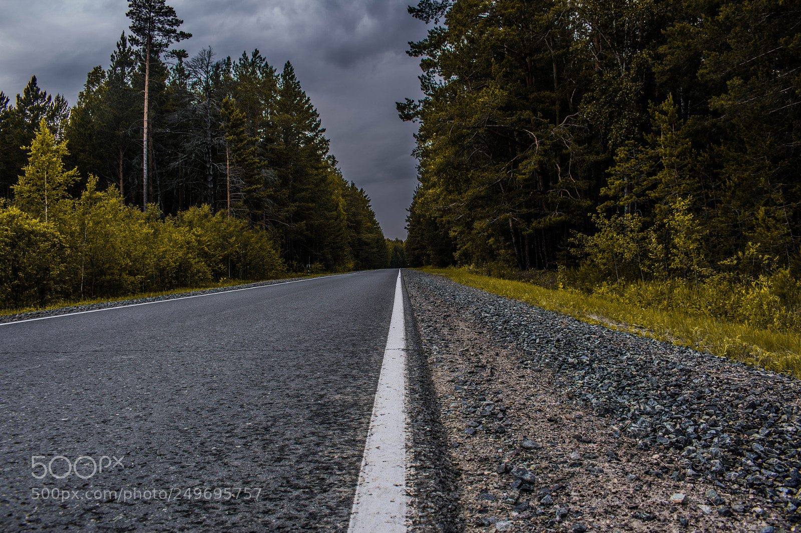 Nikon D5300 sample photo. Untitled photography