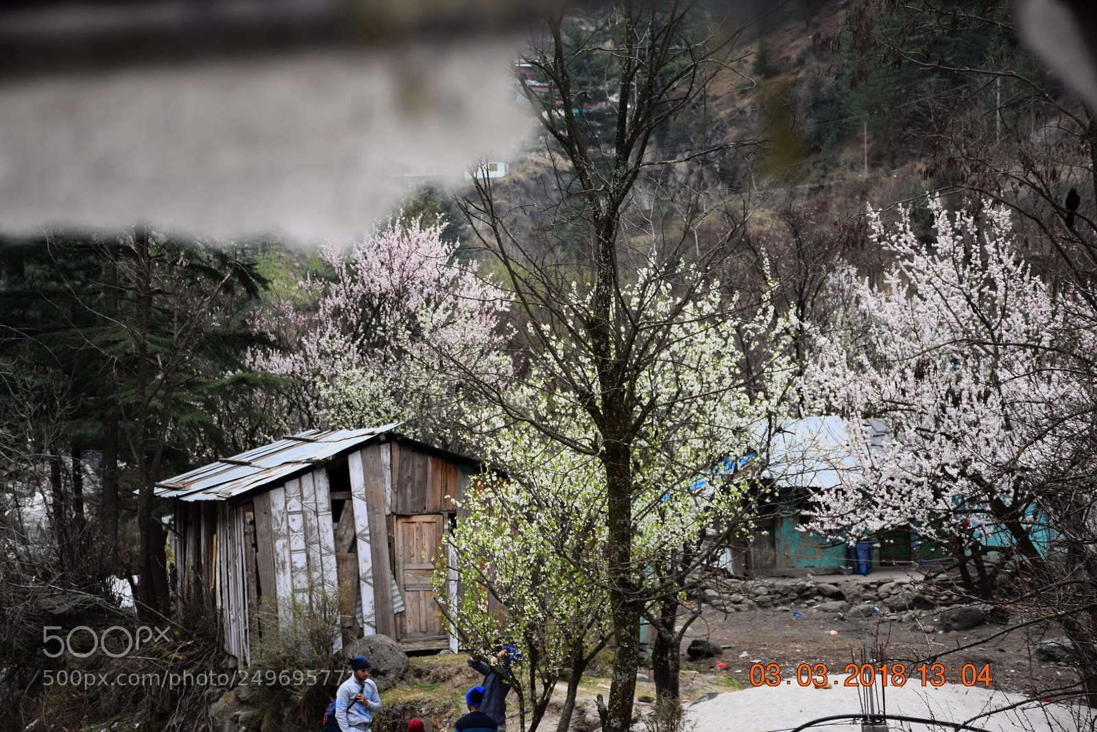 Nikon D5300 sample photo. Untitled photography