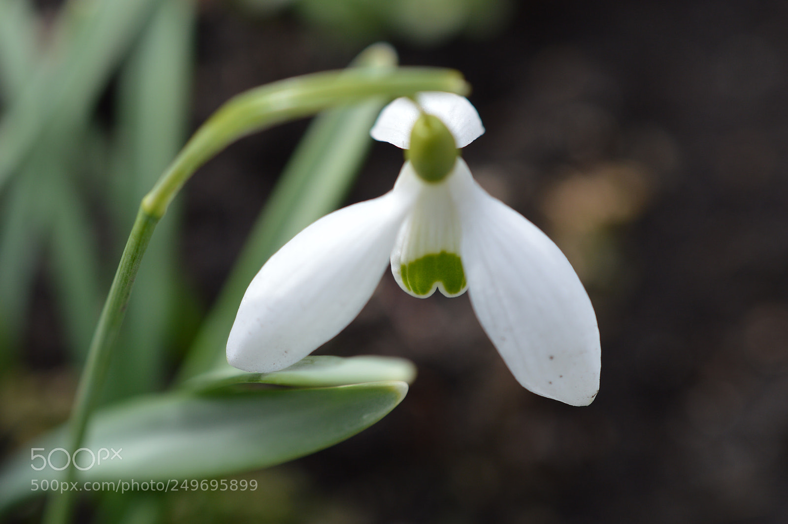 Nikon D3200 sample photo. A great sunday for photography