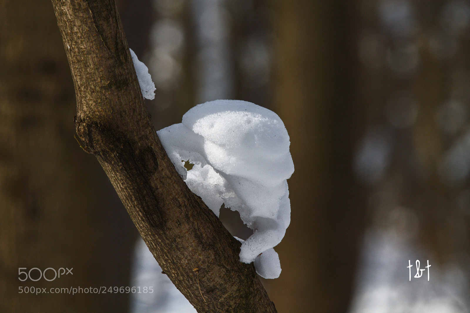Canon EOS 7D sample photo. Untitled photography