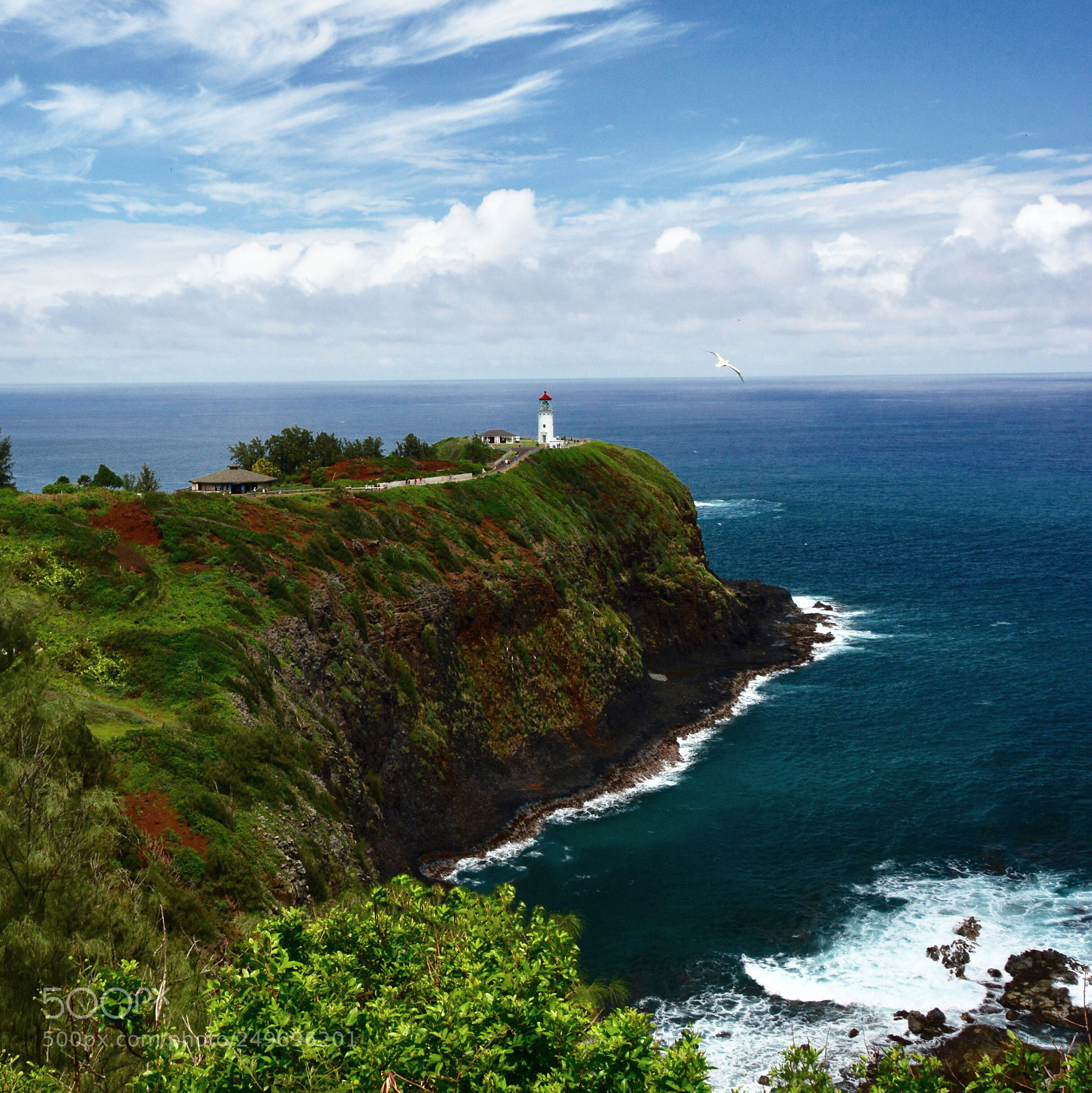 Nikon D7100 sample photo. Kilauea light, kaua i photography