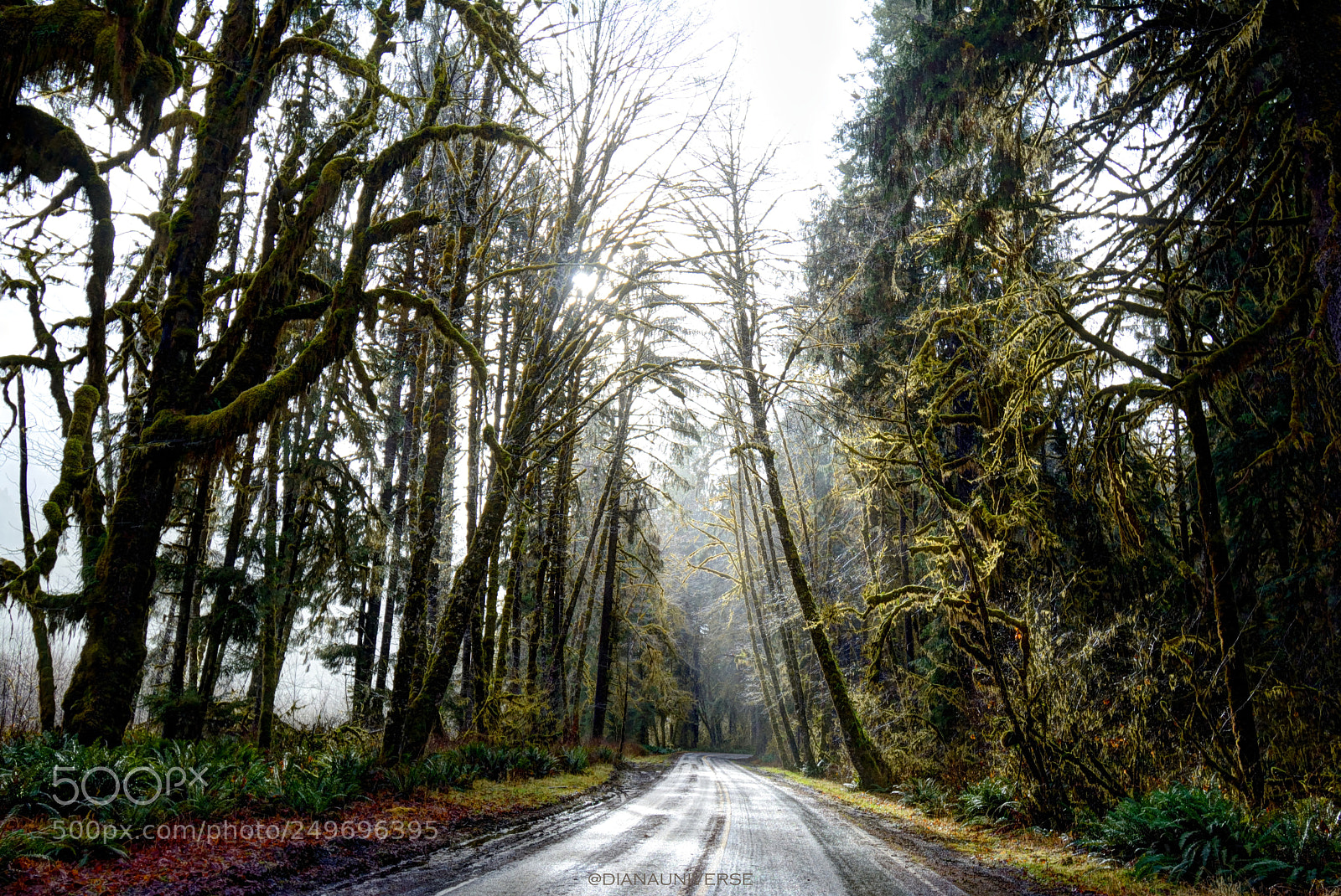 Nikon D7100 sample photo. Enlightment photography