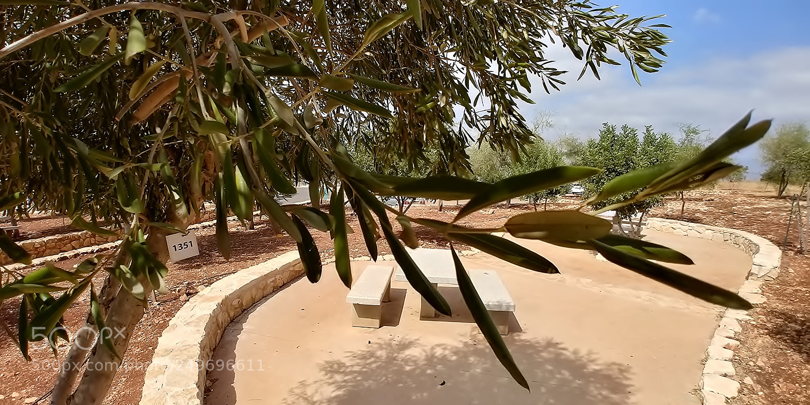 LG G6 sample photo. Mount arbel photography