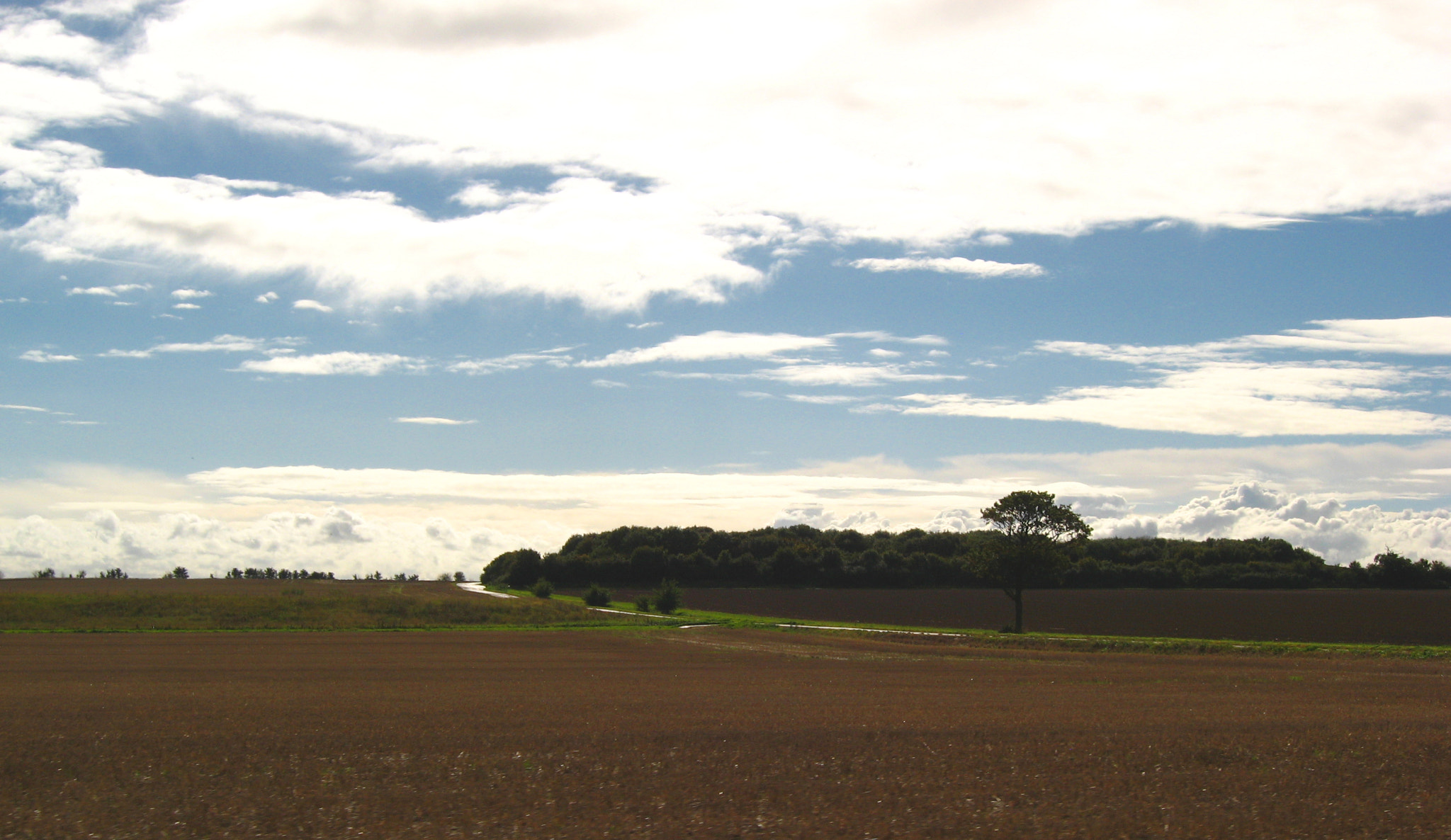 Canon POWERSHOT A550 sample photo. Fields near paglesham, essex photography