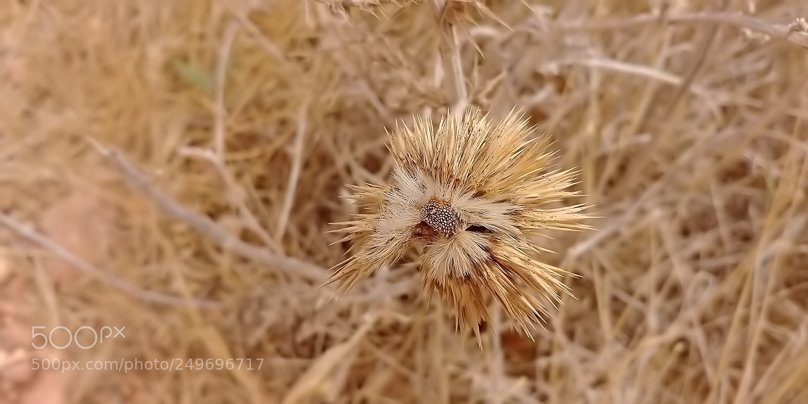 LG G6 sample photo. Mount arbel photography
