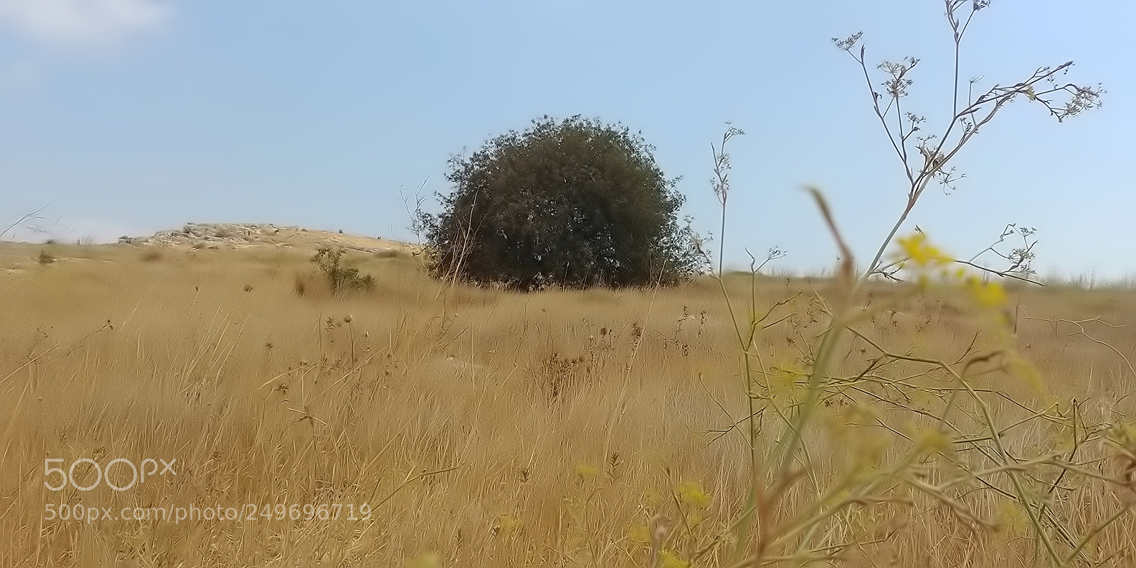 LG G6 sample photo. Mount arbel photography
