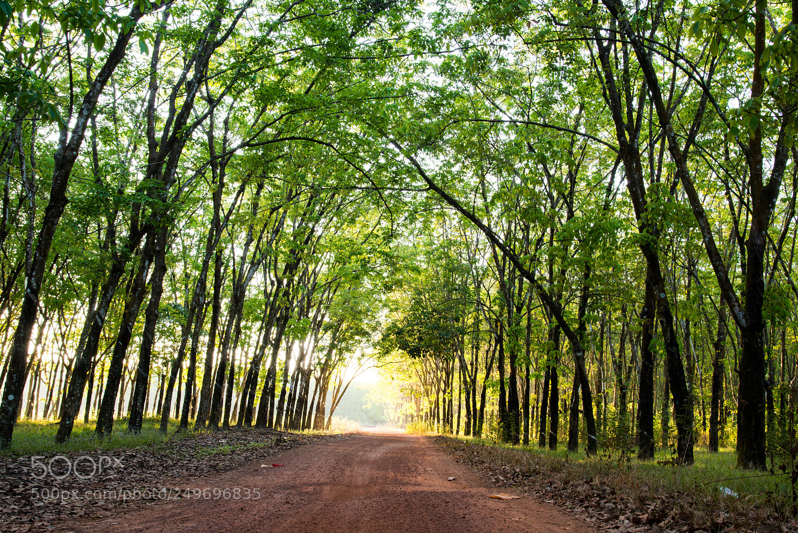 Nikon D610 sample photo. The sunrise photography