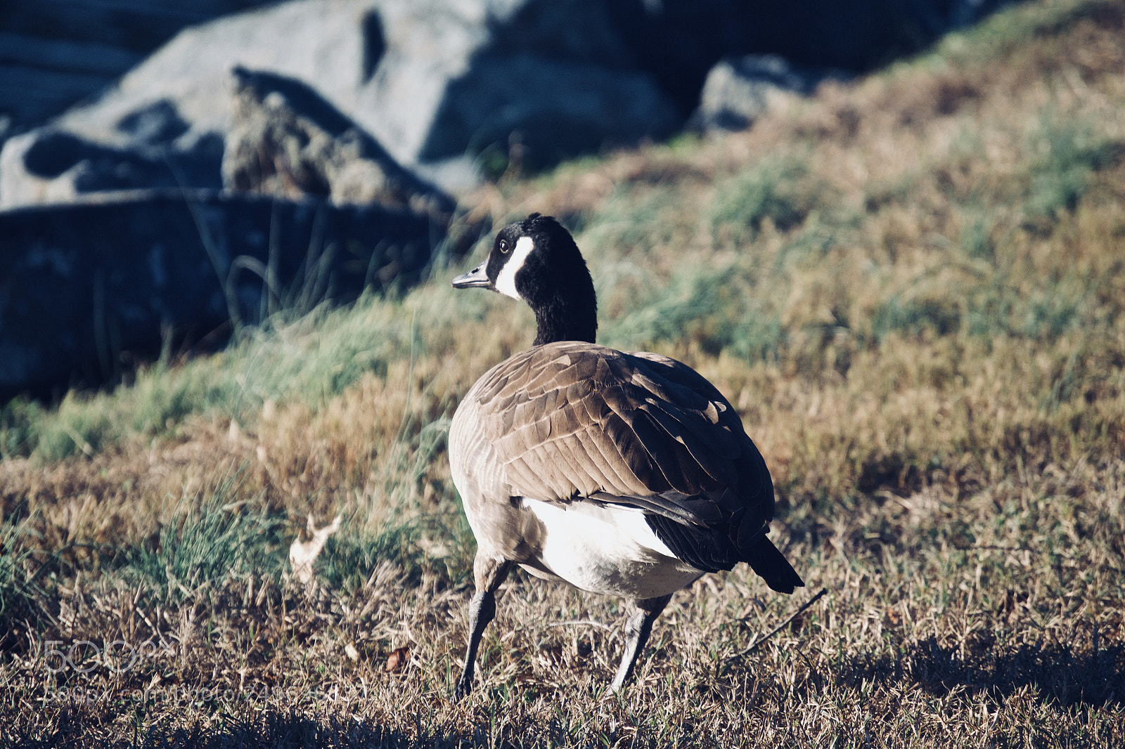 Nikon D3100 sample photo. Journey photography