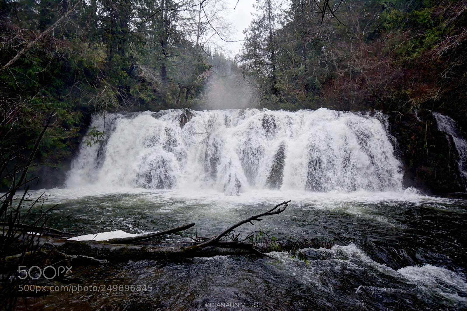 Nikon D7100 sample photo. Water spirit photography