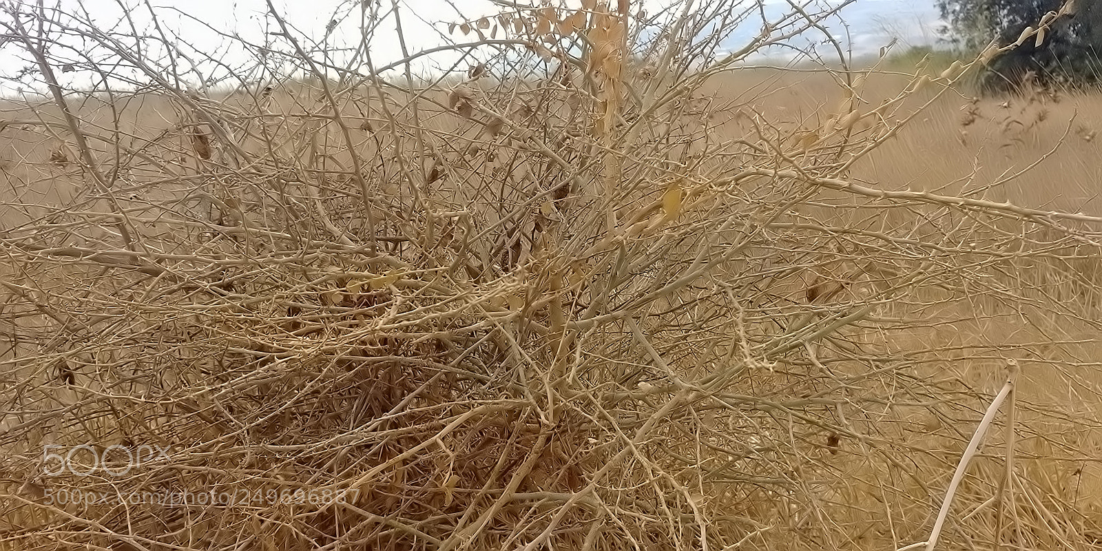 LG G6 sample photo. Mount arbel photography