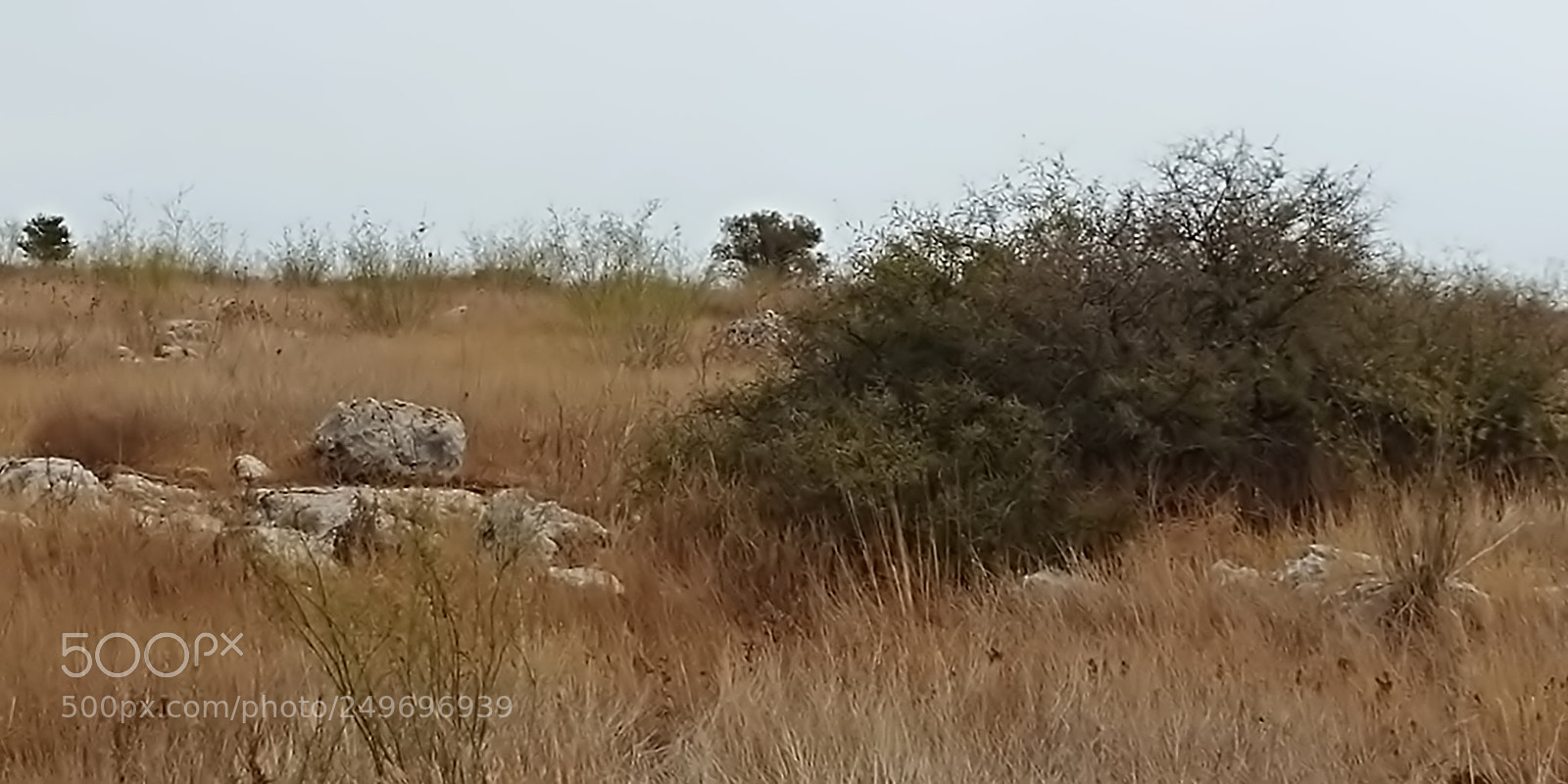 LG G6 sample photo. Mount arbel photography