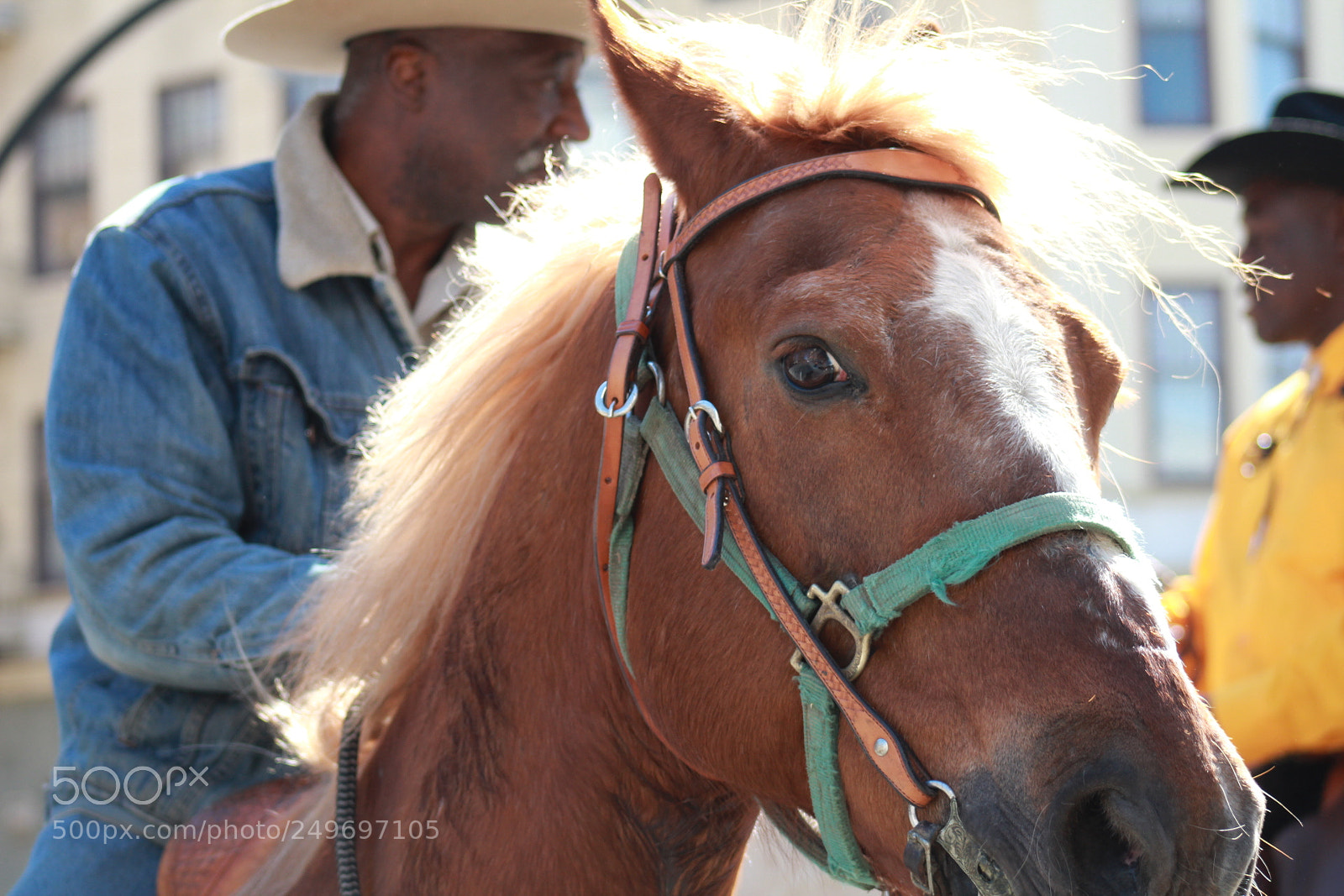 Canon EF 75-300mm f/4-5.6 sample photo. Black cowboys. photography