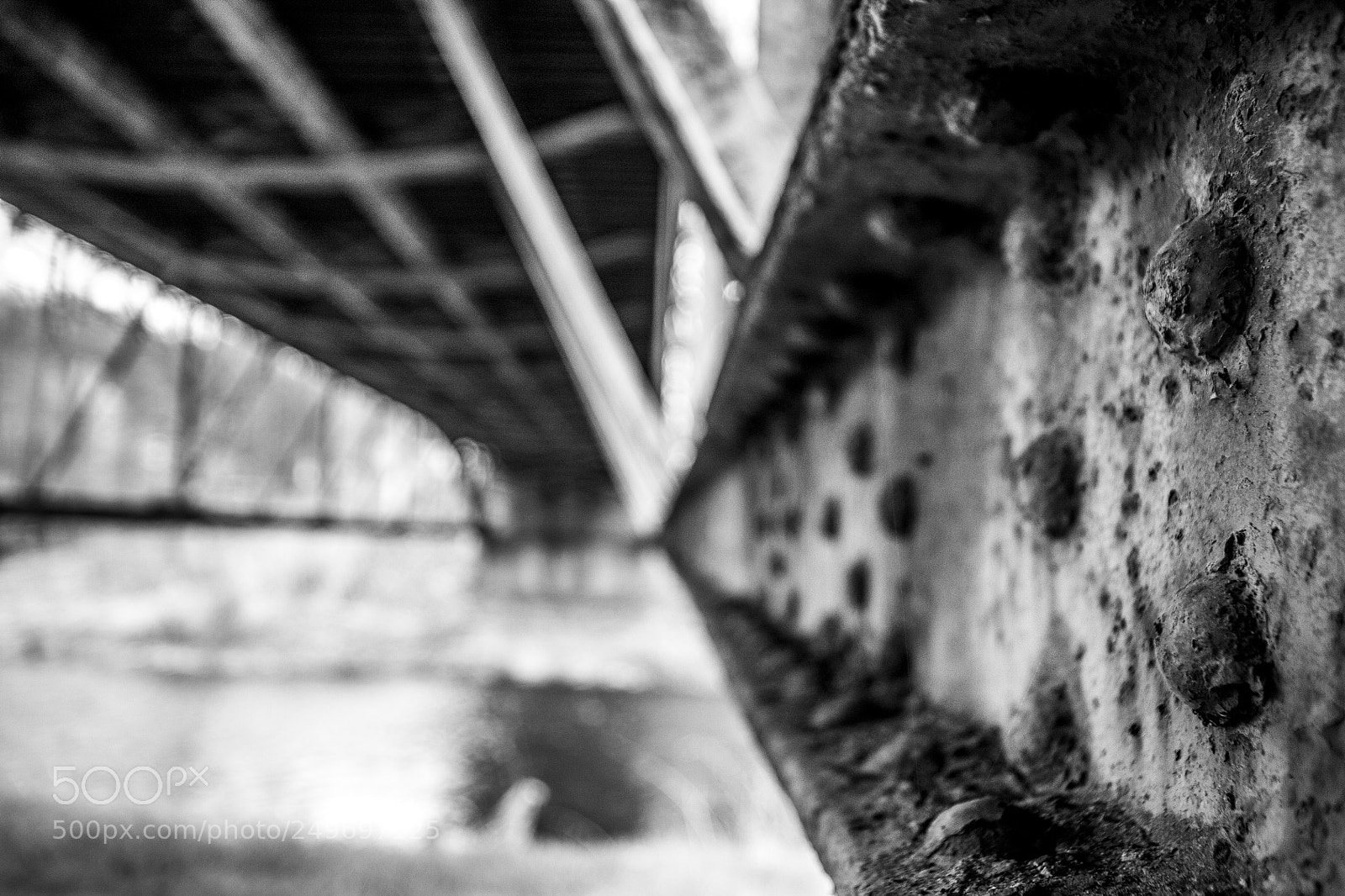 Canon EOS 1100D (EOS Rebel T3 / EOS Kiss X50) sample photo. The bridge photography