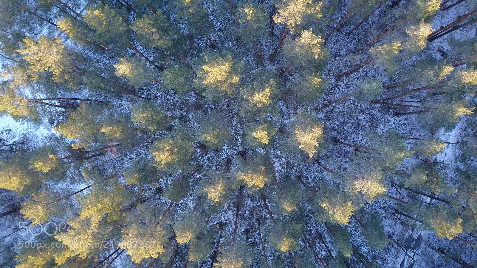 DJI FC220 sample photo. Aerial view of winter photography