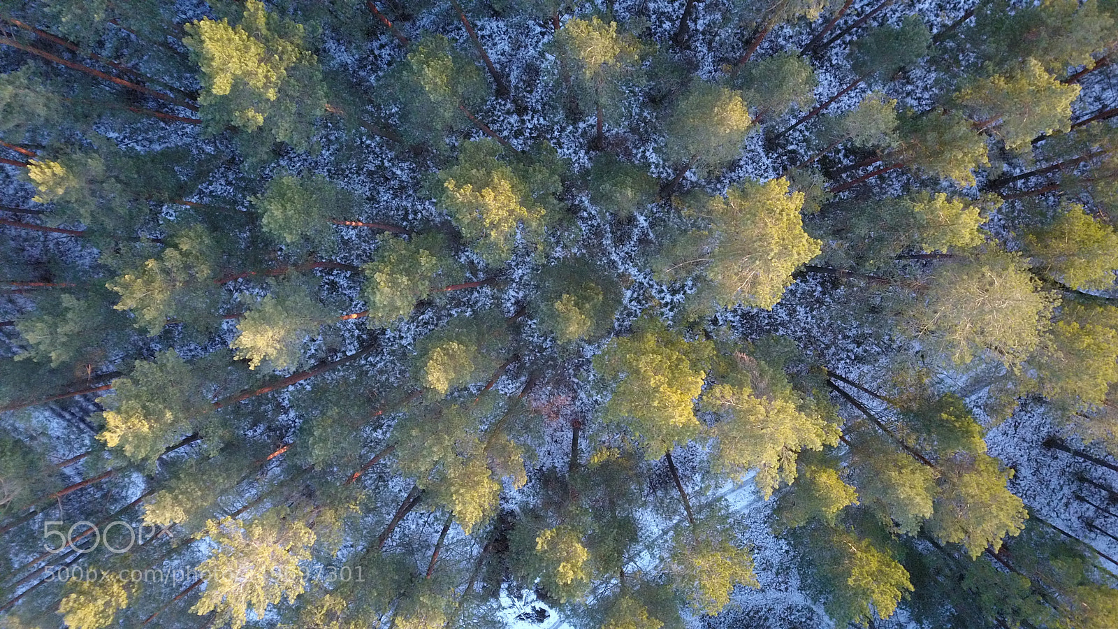 DJI FC220 sample photo. Aerial view of winter photography