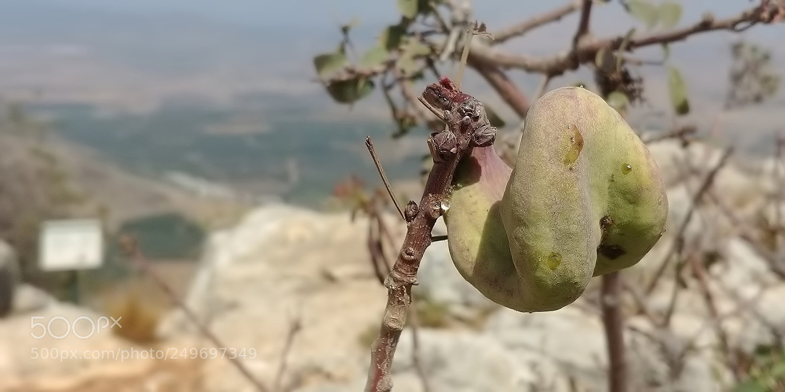 LG G6 sample photo. Mount arbel photography