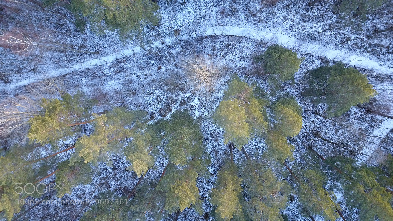 DJI FC220 sample photo. Aerial view of winter photography