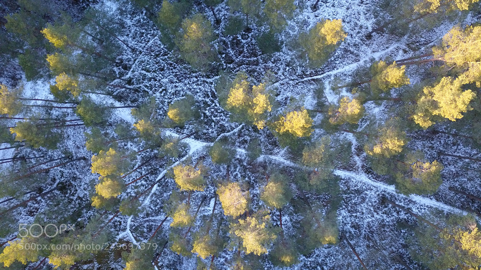 DJI FC220 sample photo. Aerial view of winter photography