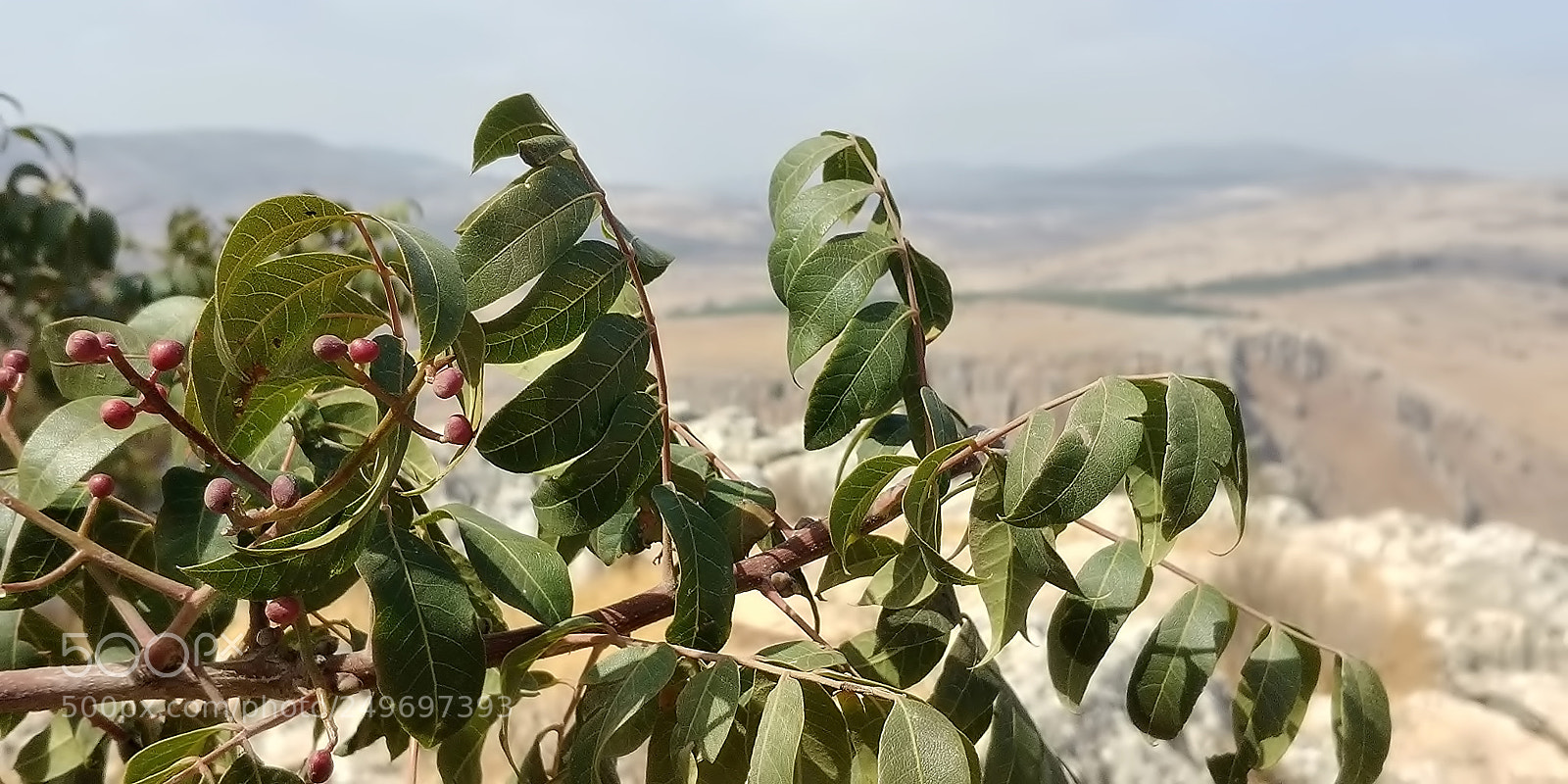 LG G6 sample photo. Mount arbel photography