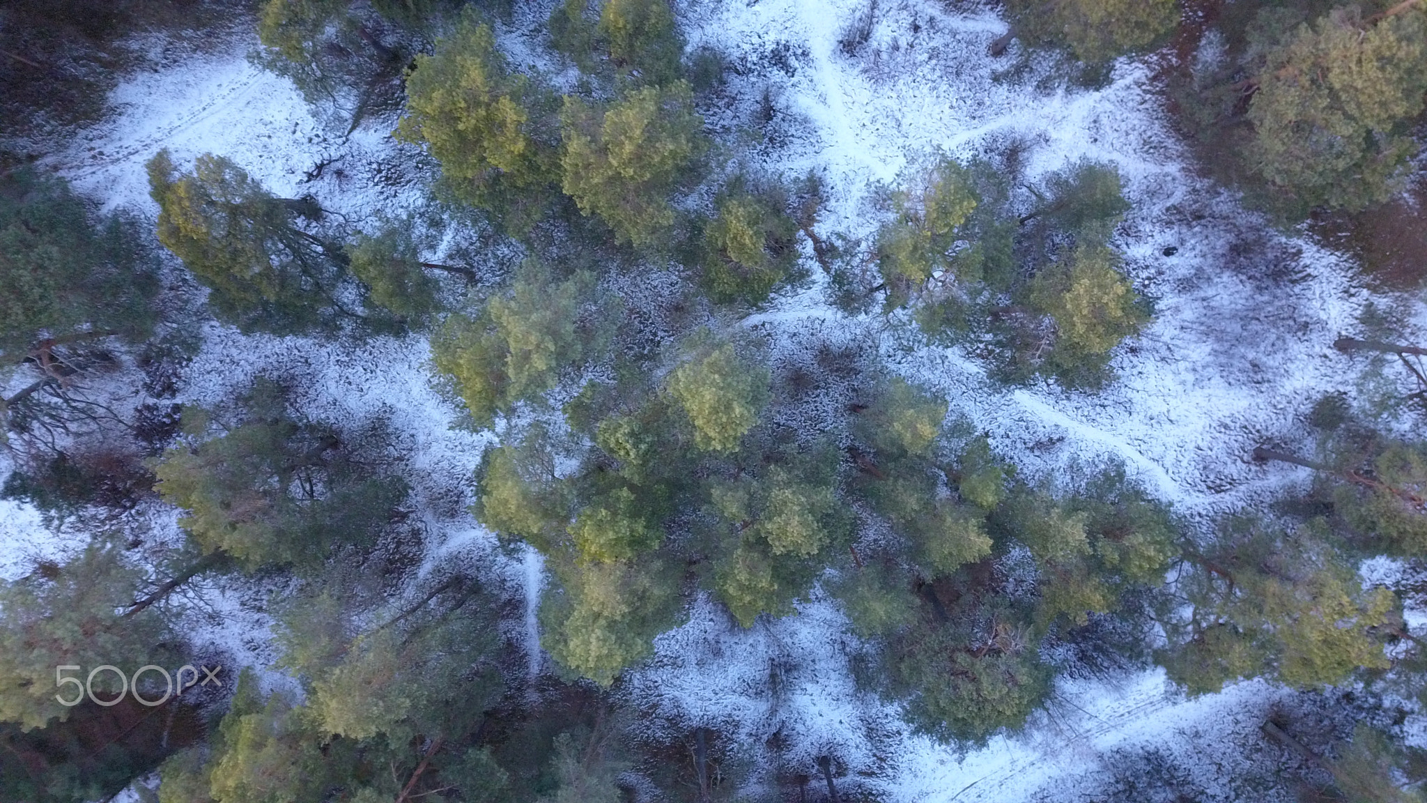 Aerial view of winter frozen forest covered in snow