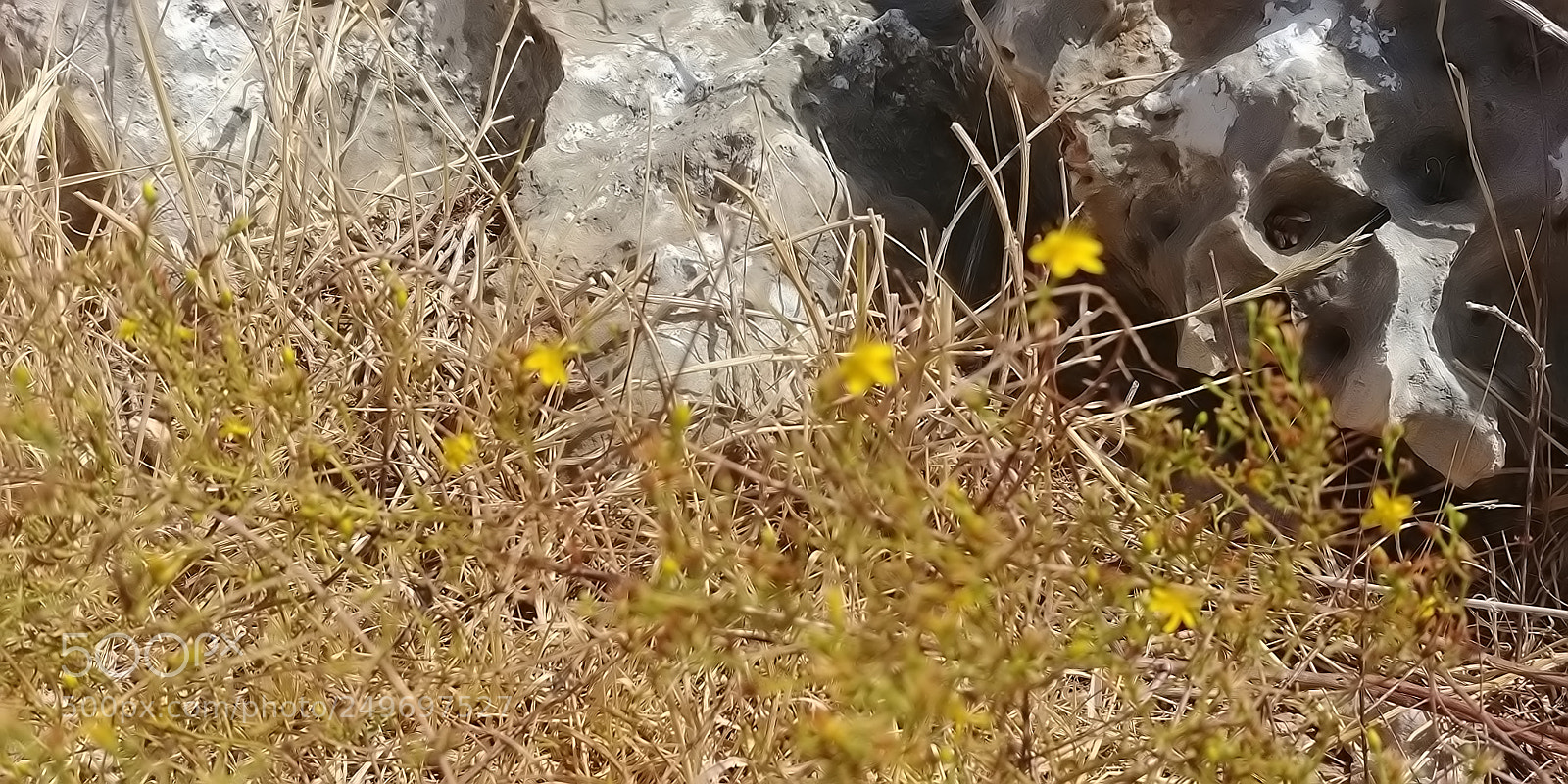 LG G6 sample photo. Mount arbel photography