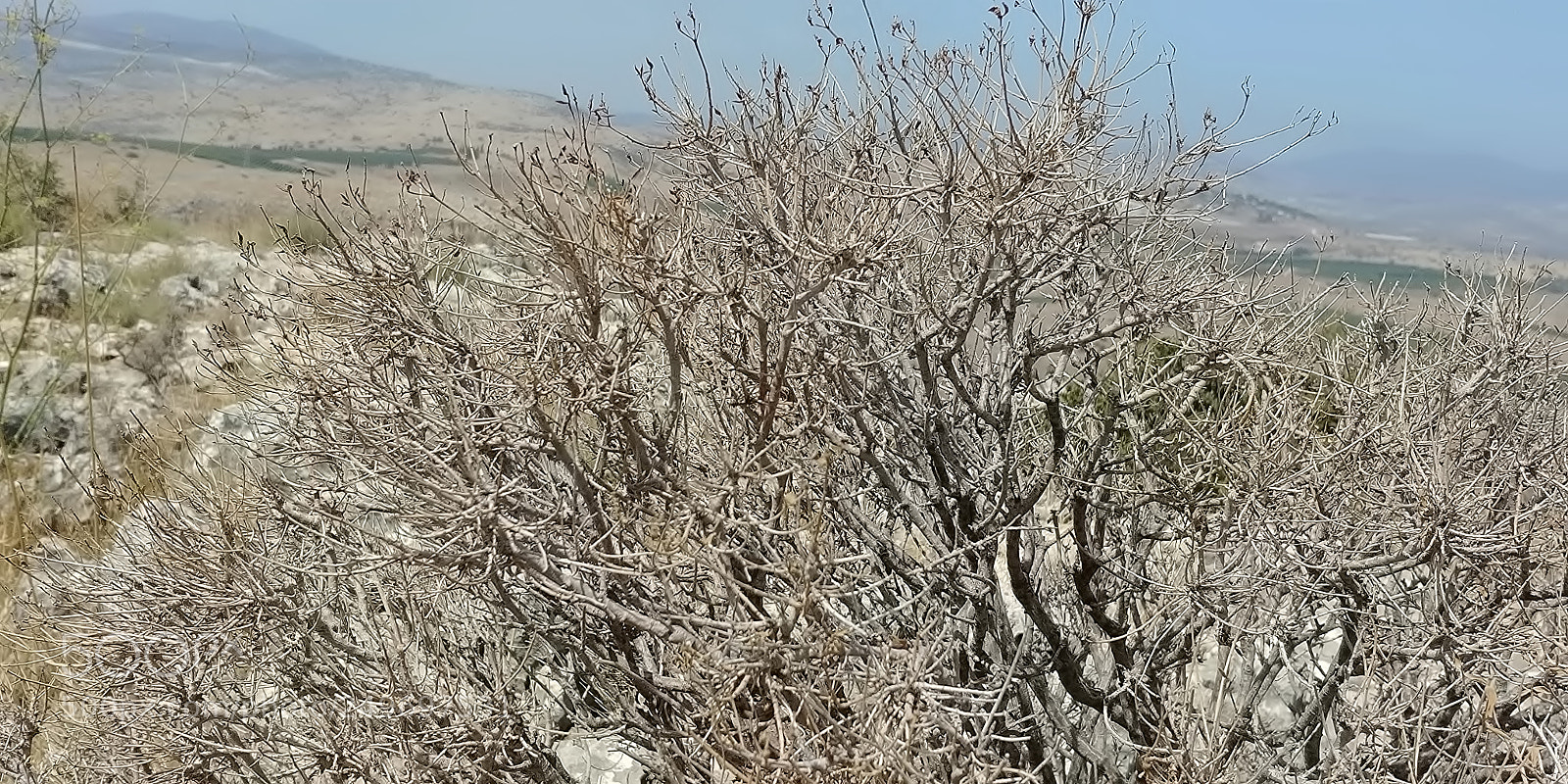 LG G6 sample photo. Mount arbel photography