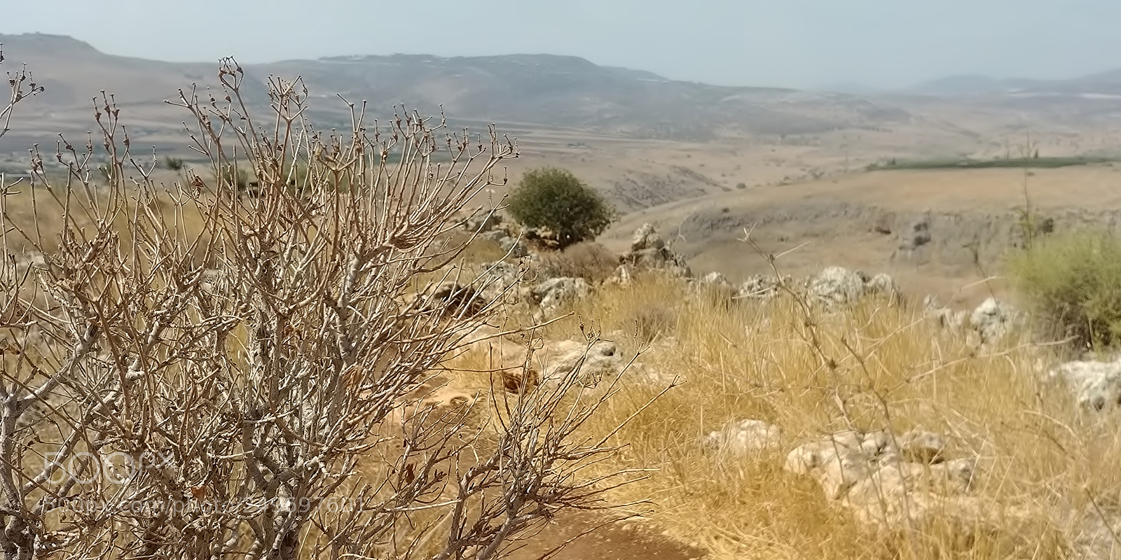 LG G6 sample photo. Mount arbel photography