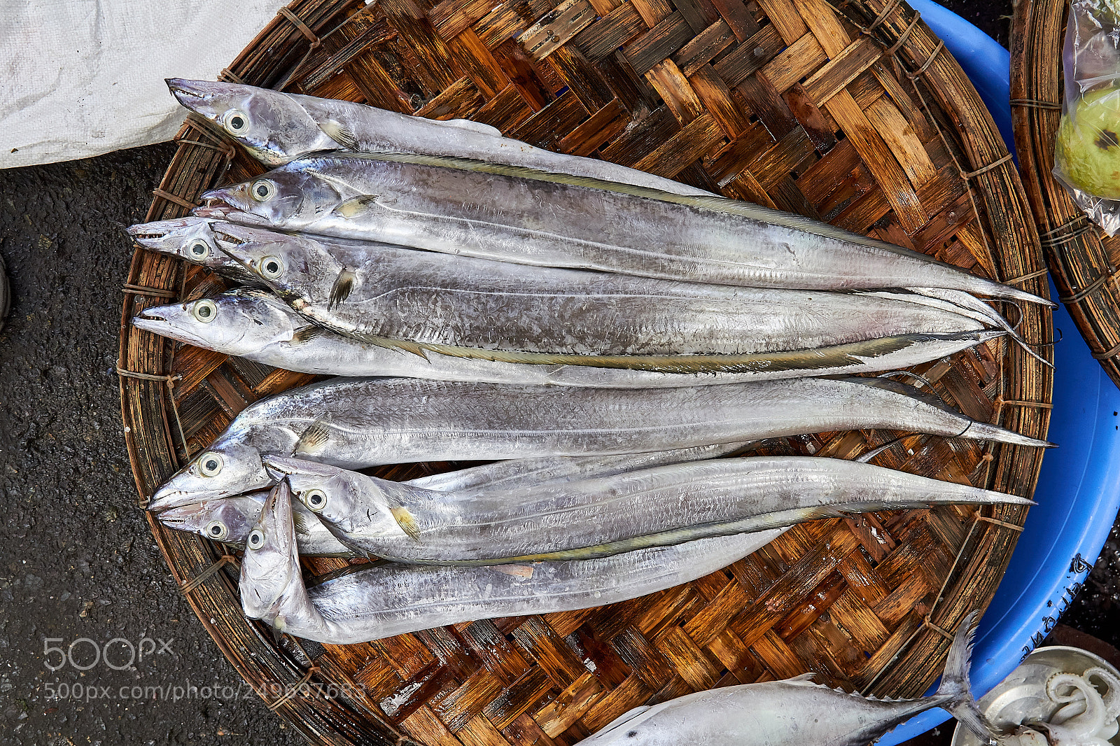 Canon EOS 650D (EOS Rebel T4i / EOS Kiss X6i) sample photo. Vietnam fish photography