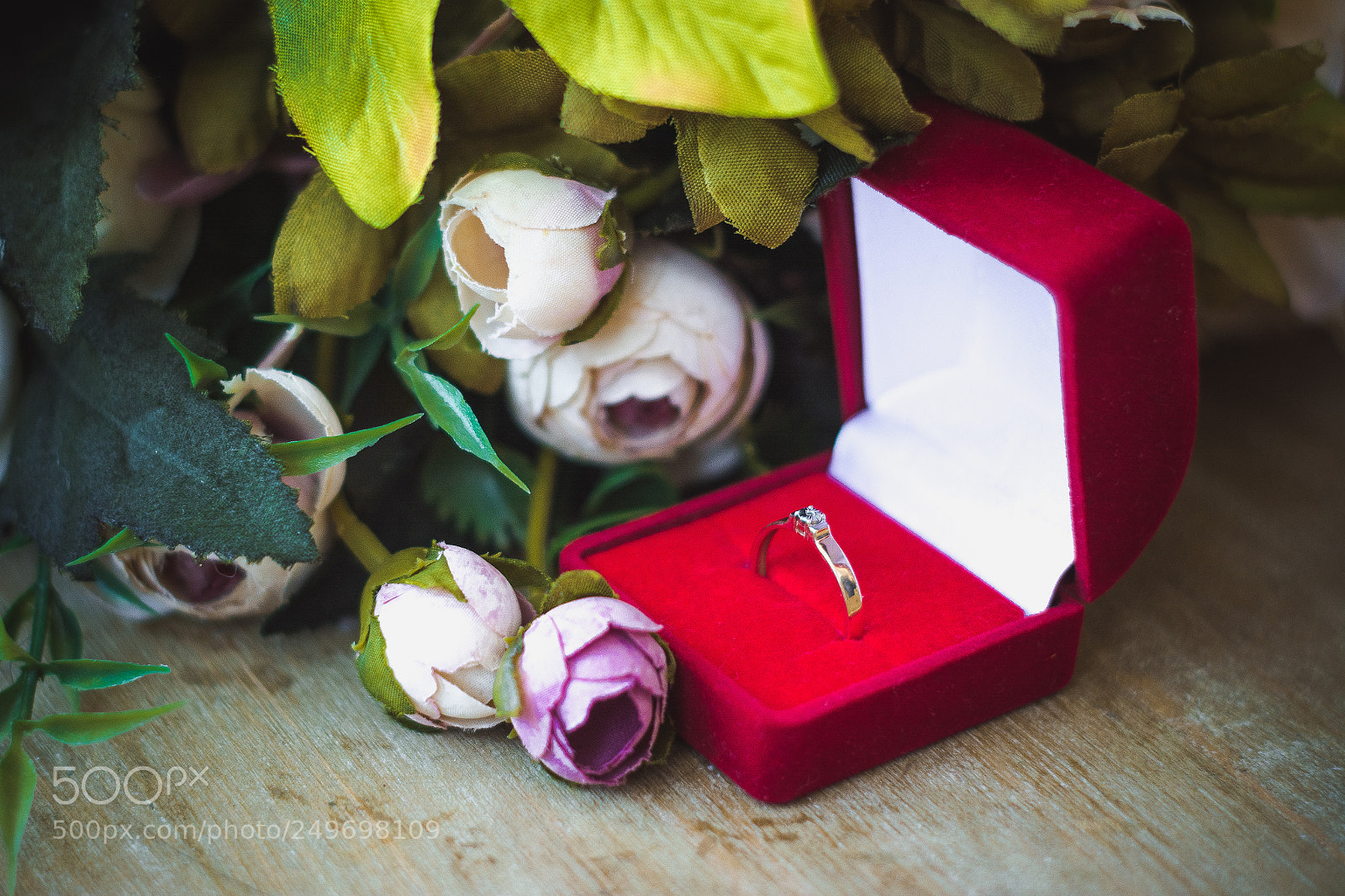 Nikon D5200 sample photo. Untitled photography
