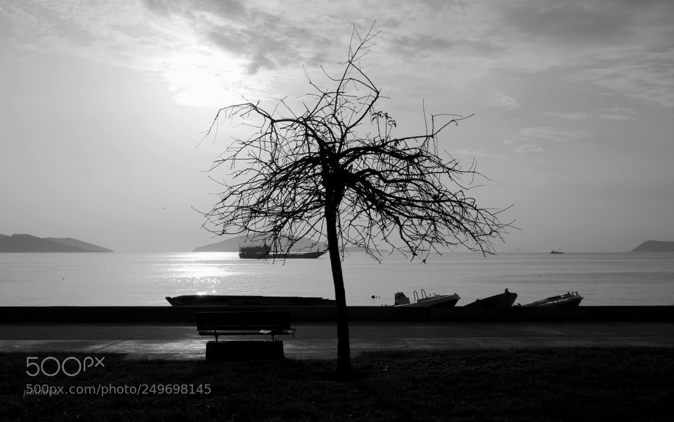 Samsung NX1 sample photo. ... photography