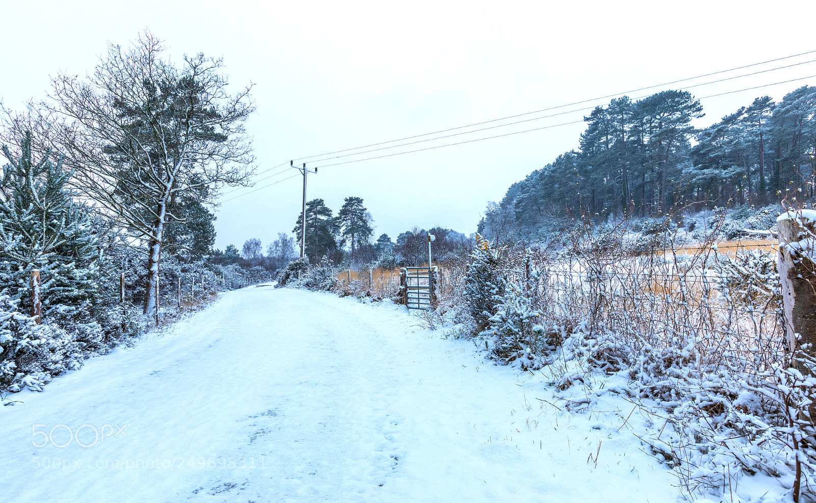 Canon EOS 5D Mark IV sample photo. Snow lane photography